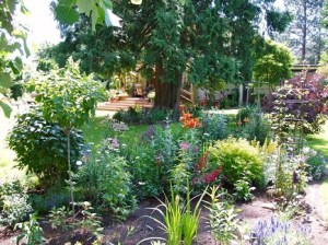 Flower Bed of Member - sml