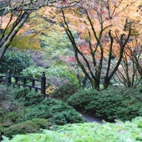 Portland Japanese Garden