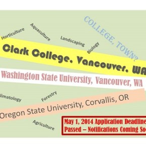 Scholarship Application Form – Winners&nbsp;Notified!