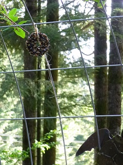 Tied Onto Trellis For Birds_244x326