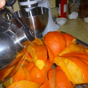 More fun things TO DO in July &&nbsp;August