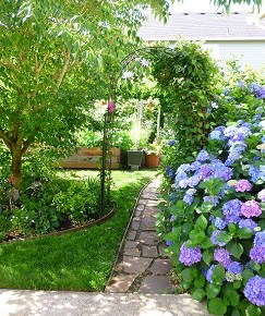 Field trip to 4 member’s gardens Tues 19&nbsp;Aug