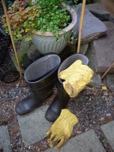 ReadyForSlugBattle_325H