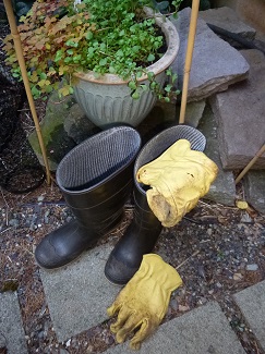 ReadyForSlugBattle_325H