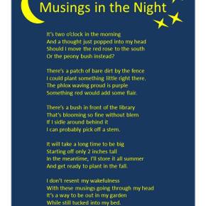 Musings in the Night –&nbsp;Poem