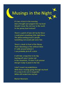 Musings in the Night JPEG