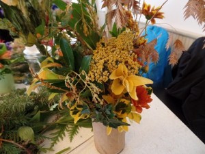 SAMSUNG CAMERA PICTURES