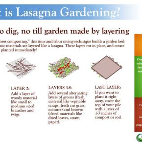 “Lasagna Gardening” or “No Dig”&nbsp;primer.