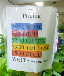 April 22 – Club Meeting – Plant Sale&nbsp;Preparation!