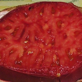 Tomato List Preview – PLANT SALE  Saturday, May 14,&nbsp;9am-3pm