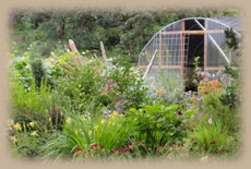 ArbutusGardenArts_hoophouse_summer_Sep2015