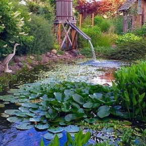 Upcoming Sep/Oct field trips for Garden Club&nbsp;members!