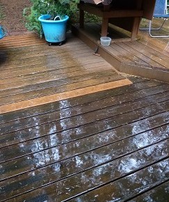 Fall Gardening Tips for the Pacific&nbsp;NorthWest