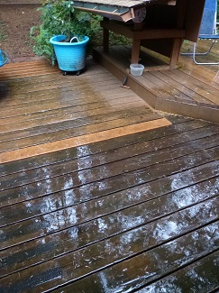 RainOctober2015_325h