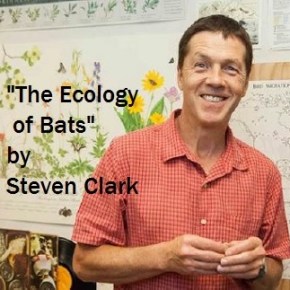 Review of the Steven Clark on “The Ecology of Bats” – Oct 28 @ 1pm&nbsp;Meeting