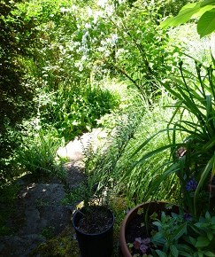 Mar 23 Speaker – The Soil Food Web – Joan&nbsp;Veatch