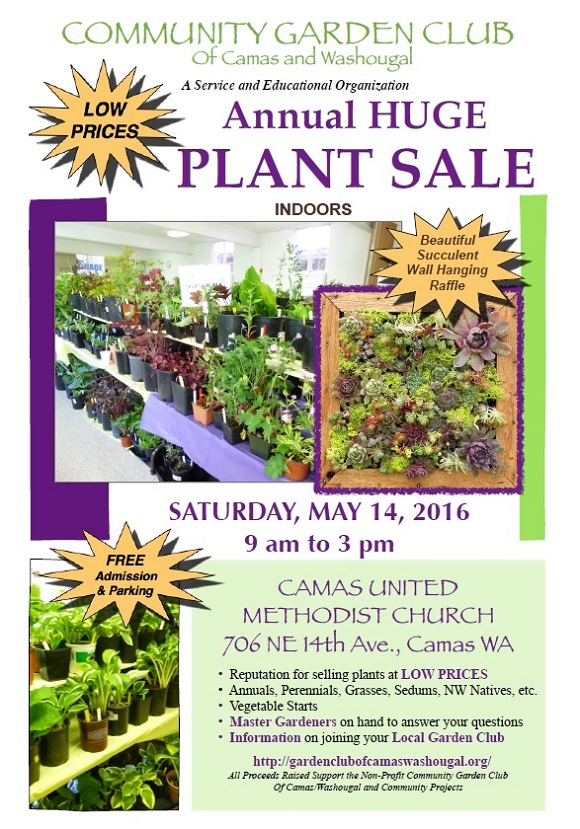 MorePixelsTryFlyer2016_JPEG_580w