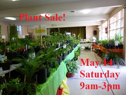 8_PacNW_natives_325h - May14