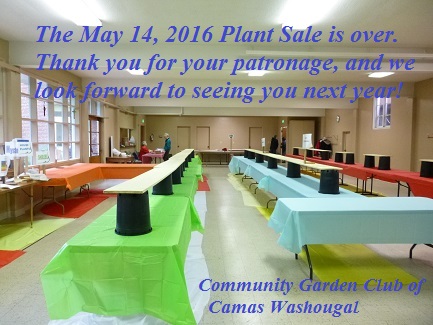 PlantSaleOver_325hThankYOU