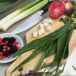 Intro to Urban Foraging – Sep 17, 10am-noon @ Columbia&nbsp;Springs!