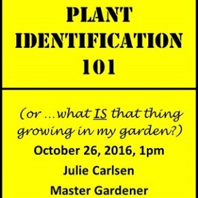 Oct 26, 1pm “Plant Identification 101” by Julie Carlsen, Master&nbsp;Gardener