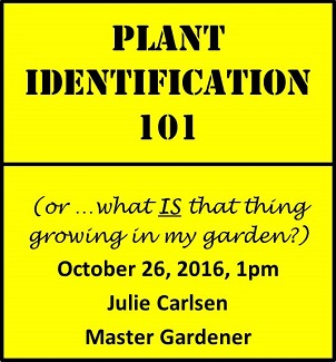 plantidentification_jpeg_325h