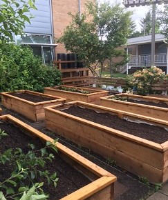 Rain Barrels installed at Helen Baller&nbsp;Elementary!