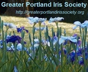 Greater Portland Iris Society – upcoming events starting in&nbsp;February!