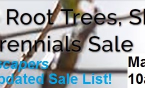 May 5th, 10-3 – Naturescapers’ DEEP DISCOUNTS!  $5/trees, $3/shrubs &&nbsp;$1/perennials!