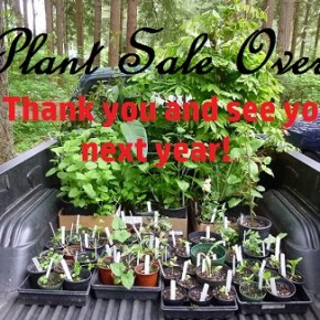 2018 Plant Sale OVER – Thank&nbsp;you!