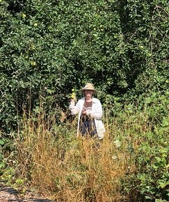 HINT #4 – U-Pick farms in our area – what they sell and how to find&nbsp;’em!