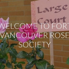 Ft. Vancouver Rose Society Rose Auction – March 3, 2022, doors open&nbsp;6:30pm