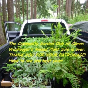 Our Annual Plant Sale is over – thank you for your&nbsp;patronage!