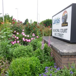 Roses & Flowers at Camas/Washougal Municipal&nbsp;Court