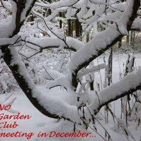 NO Garden Club meeting during&nbsp;December