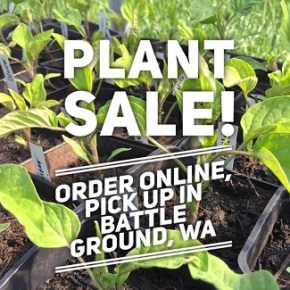 Eve & Erik’s Plant Sale – this event has&nbsp;passed