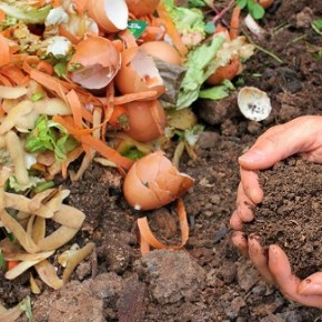 FREE Composting Webinars &&nbsp;Classes!