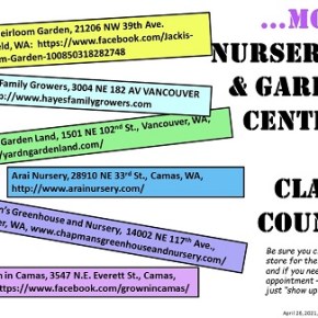 MORE Local Nurseries OPEN for&nbsp;Business!