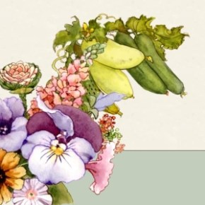 Free Planting Guides & Mail order&nbsp;seeds/plants