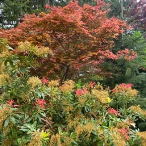 REMINDER:  July 21, Wed 11:30am-1pm. Stephanie Beach on “Creating Raised Garden Beds with Seasonal&nbsp;Interest”