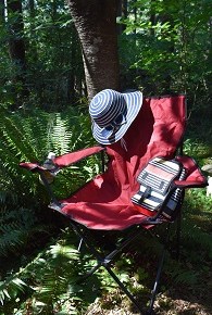 It’s a PICNIC!  You’re invited!  August 25, 2021, noon, Crown&nbsp;Park.