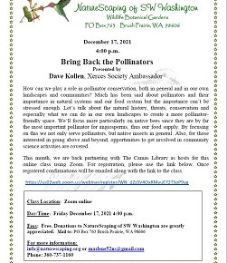 Bring Back the Pollinators – ZOOM class Dec 16, 4-6pm, Naturescapers & Camas&nbsp;Library