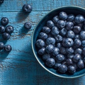 Blueberry pruning workshop – in person – WSU Master Gardeners – Feb 12&nbsp;10am-noon