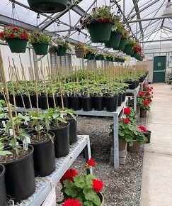 Ft. Vancouver High School Plant Sale – April 27, 28,&nbsp;29