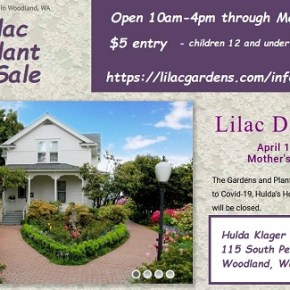 Hulda Klager “LILAC DAYS” Plant Sale is back through May 8th – 10am-4pm every&nbsp;day
