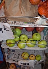Apple Maggots & “Footies” – what’s the&nbsp;connection?