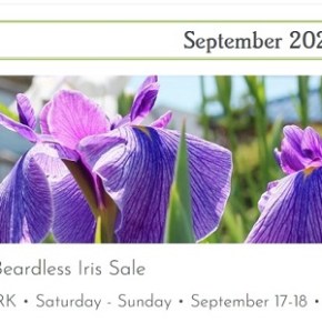 Greater Portland Iris Society Beardless Plant Sale – Sep 17 & 18,&nbsp;9am-4pm