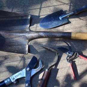 Different gardening-related “stuff” in February & March – some free, some&nbsp;$$