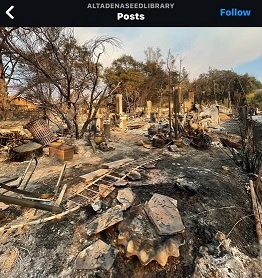 UPDATE:  SEEDS for Altadena Library, CA free “SEED LIBRARY” – So. Cal. natives&nbsp;preferred