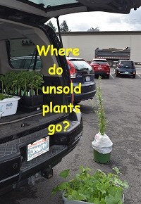 Unsold Plants – where do they go?    Washougal Library NOW & Parkersville Days June&nbsp;7!